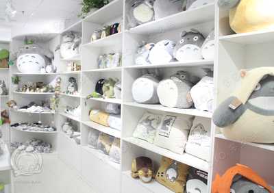 动漫周边的经典——探访多多洛龙猫动漫店与杭州市凡简家居用品