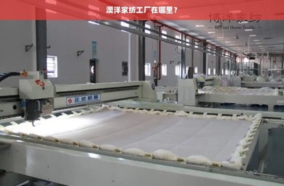 澳洋家纺工厂地理位置与家居用品概述